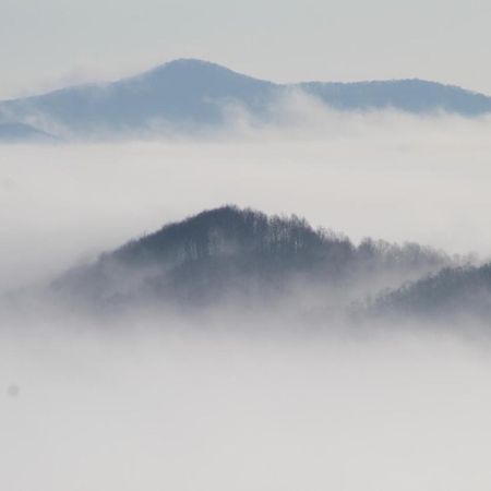 Pensiune Runcu Stone Buitenkant foto