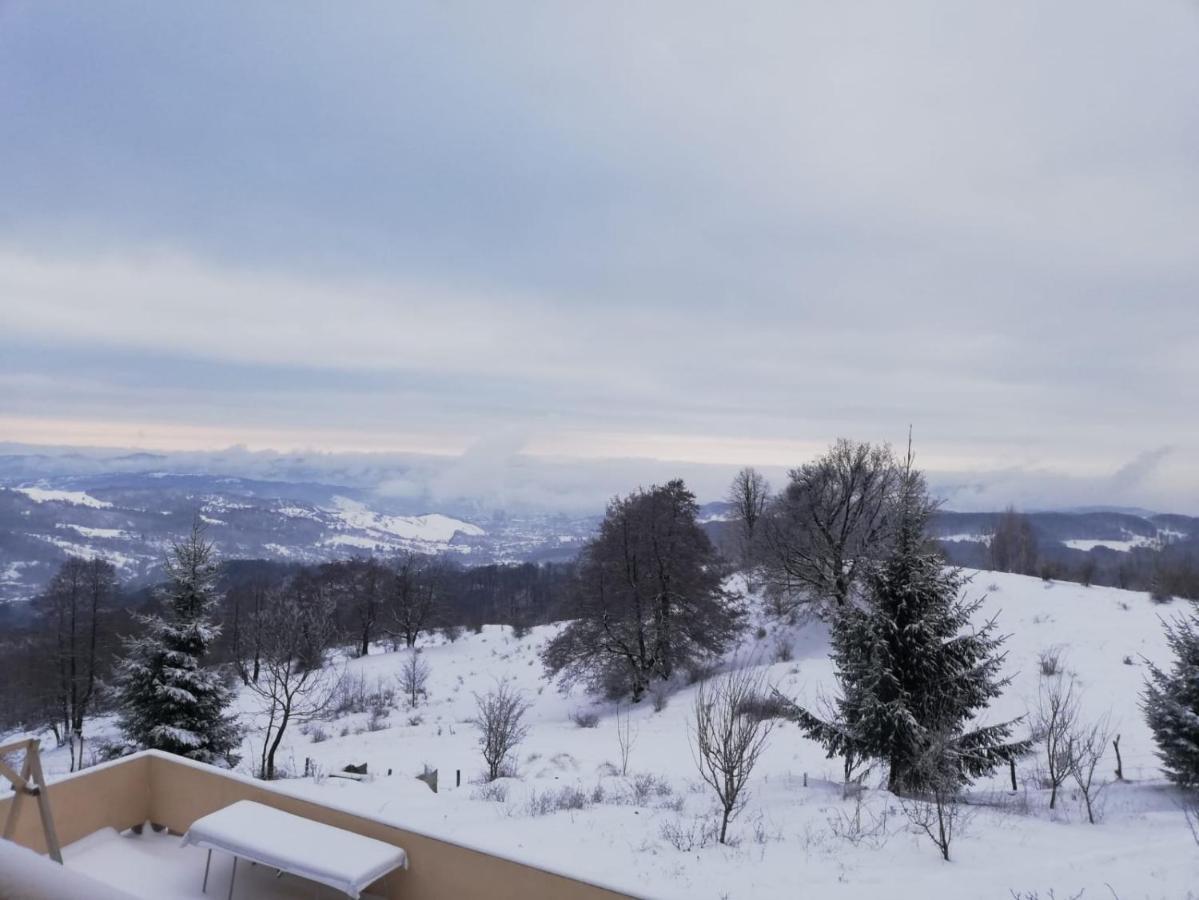 Pensiune Runcu Stone Buitenkant foto