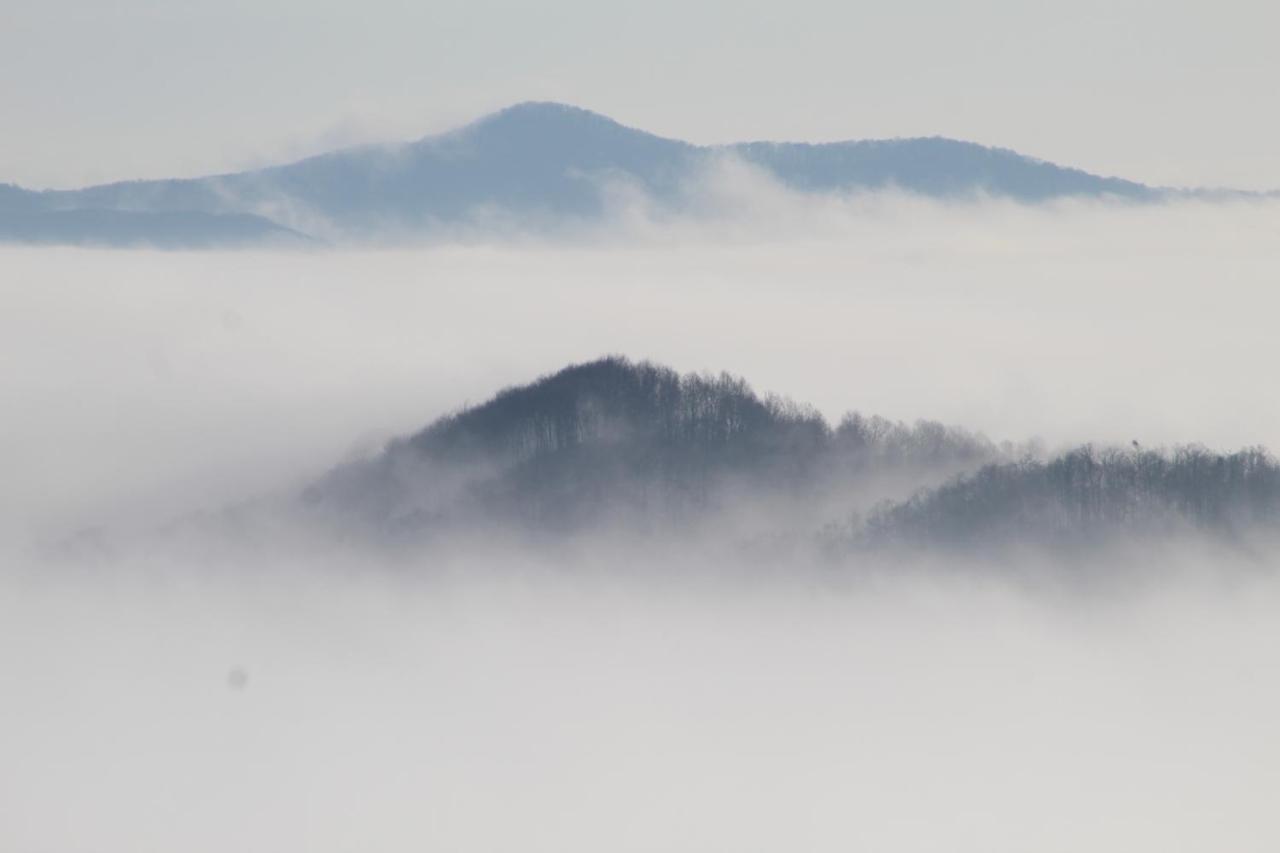Pensiune Runcu Stone Buitenkant foto