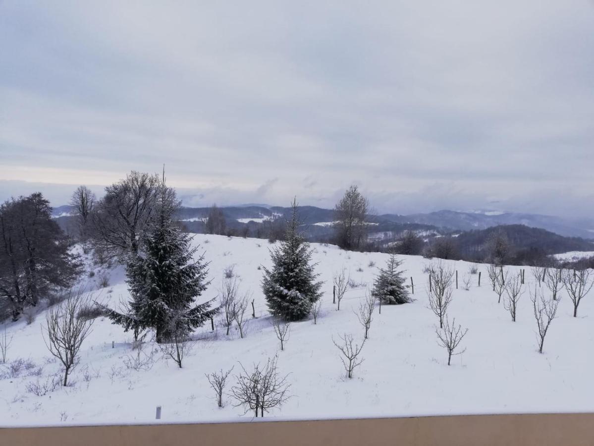 Pensiune Runcu Stone Buitenkant foto