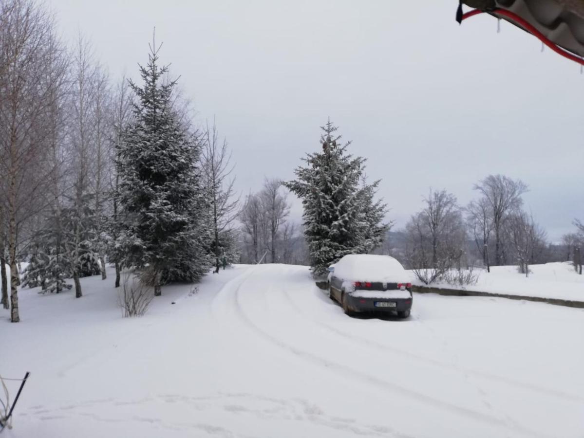 Pensiune Runcu Stone Buitenkant foto