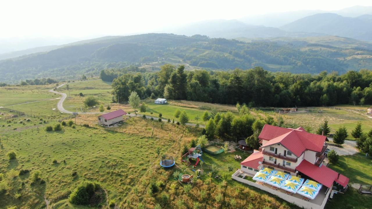 Pensiune Runcu Stone Buitenkant foto