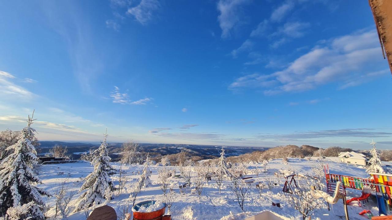 Pensiune Runcu Stone Buitenkant foto