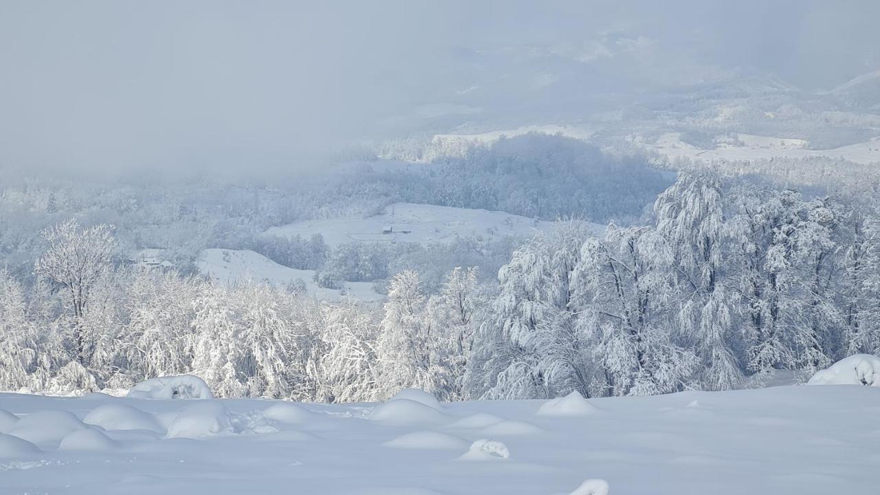 Pensiune Runcu Stone Buitenkant foto