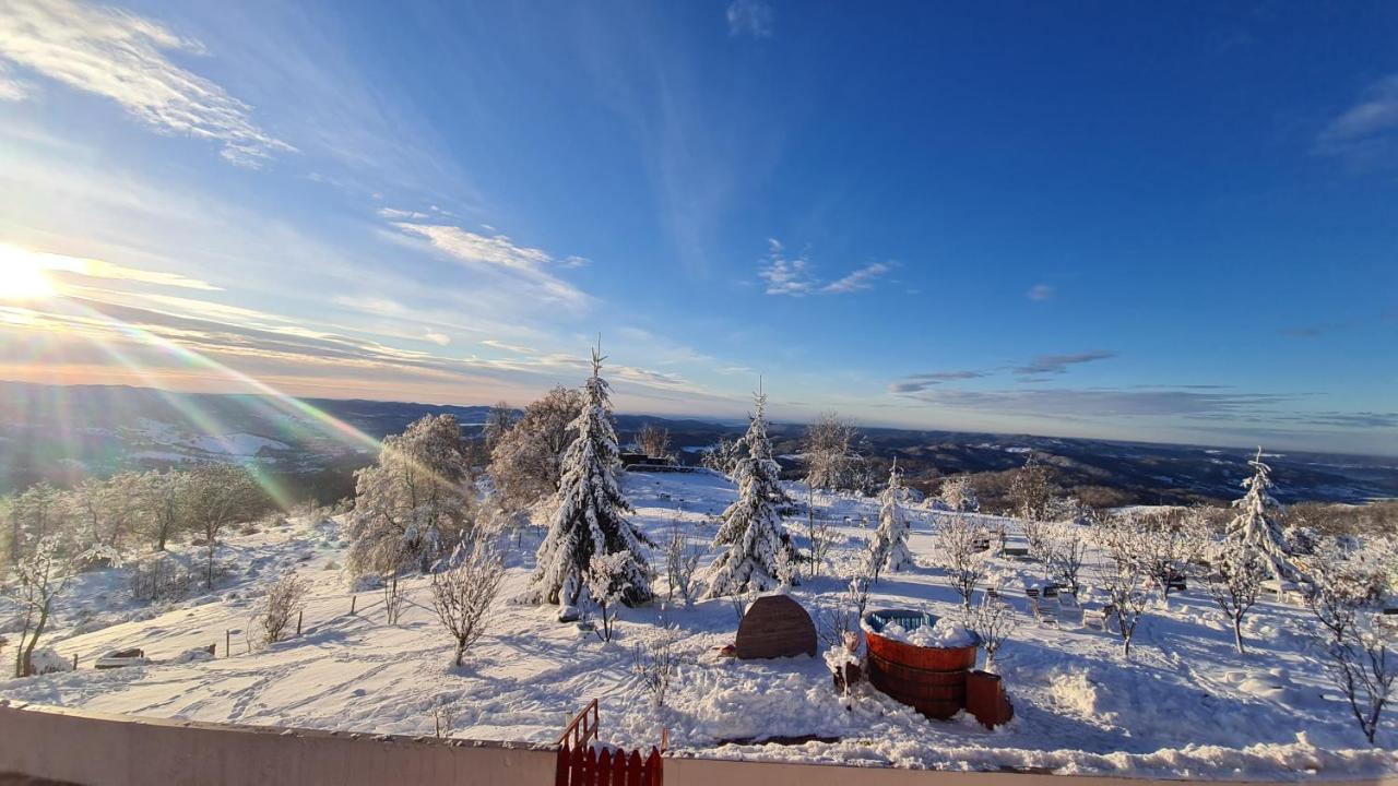 Pensiune Runcu Stone Buitenkant foto