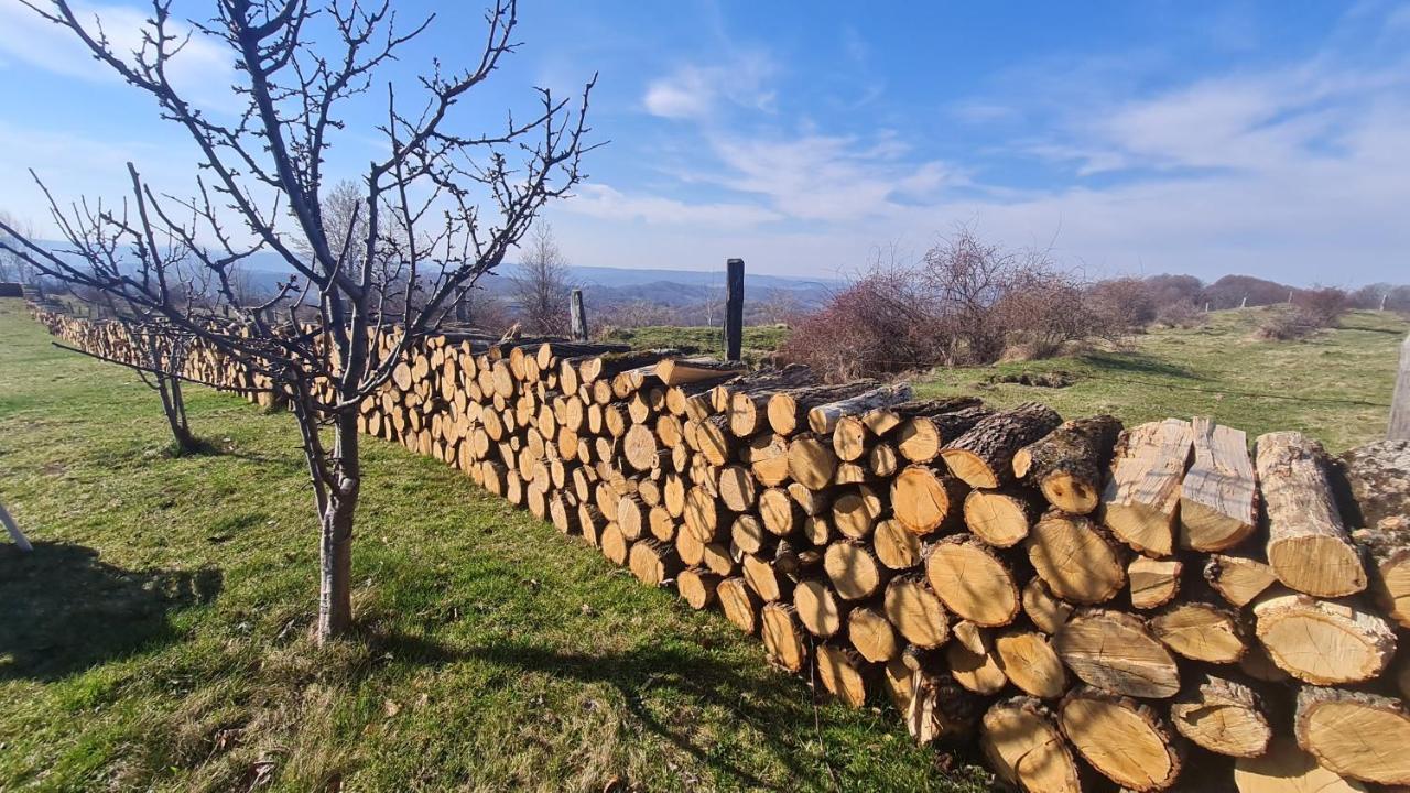 Pensiune Runcu Stone Buitenkant foto