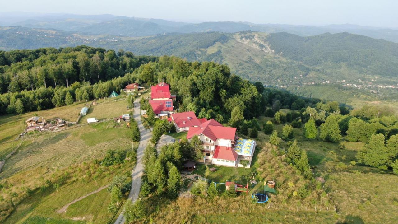 Pensiune Runcu Stone Buitenkant foto