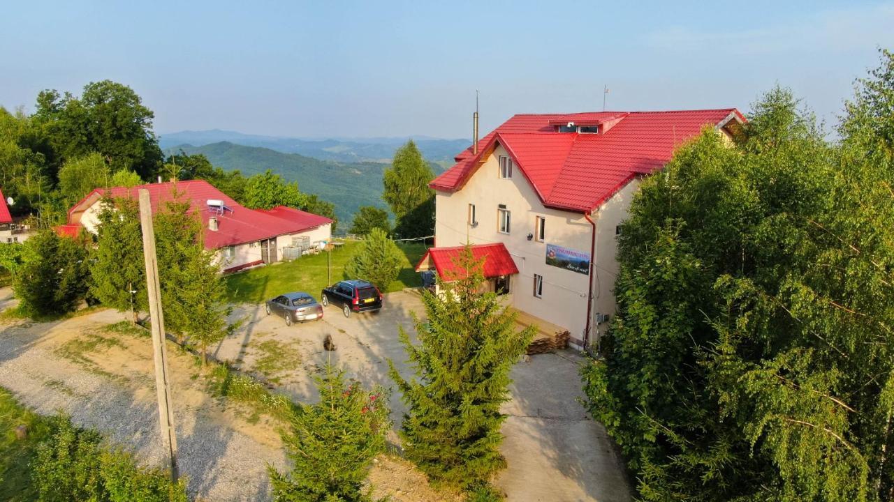 Pensiune Runcu Stone Buitenkant foto