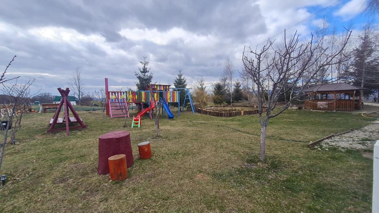 Pensiune Runcu Stone Buitenkant foto