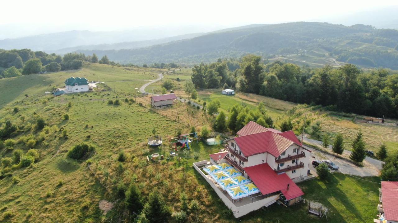 Pensiune Runcu Stone Buitenkant foto