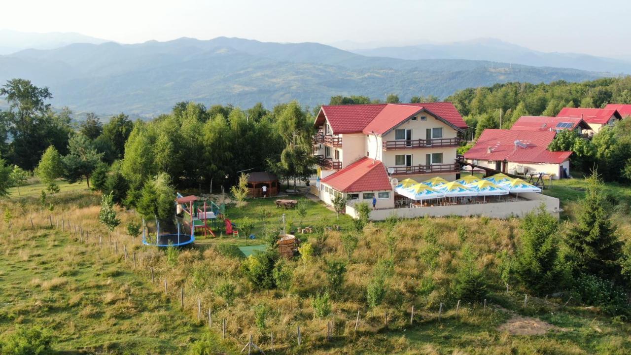 Pensiune Runcu Stone Buitenkant foto