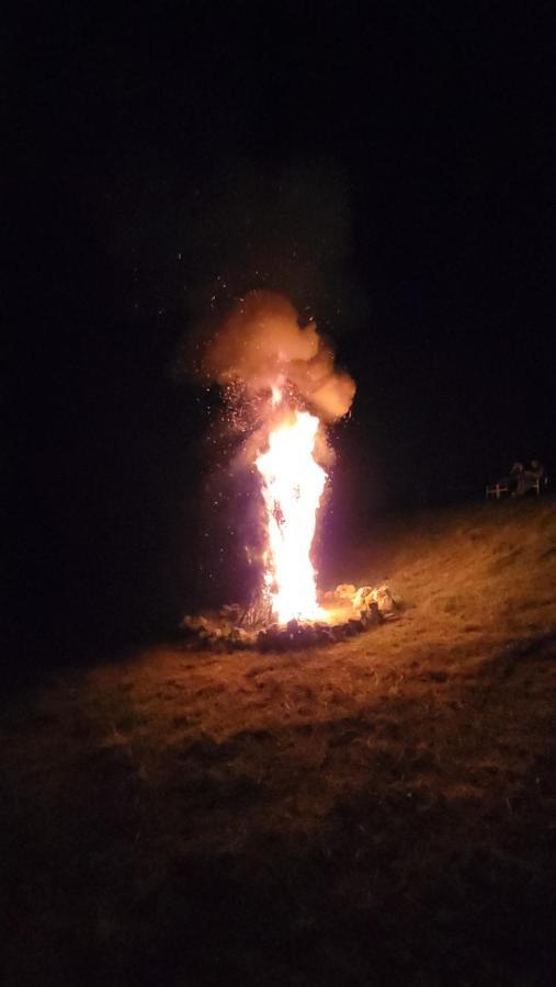 Pensiune Runcu Stone Buitenkant foto