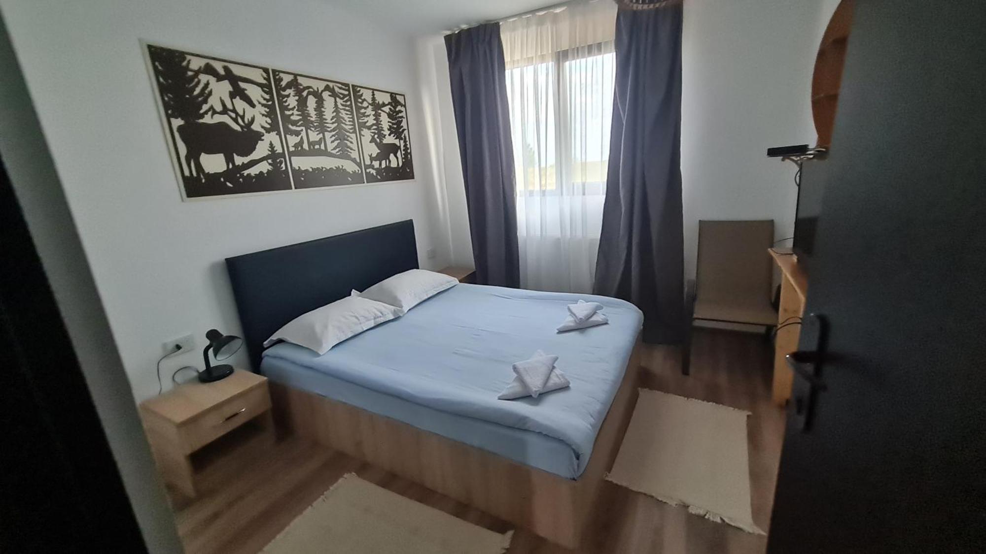 Pensiune Runcu Stone Buitenkant foto